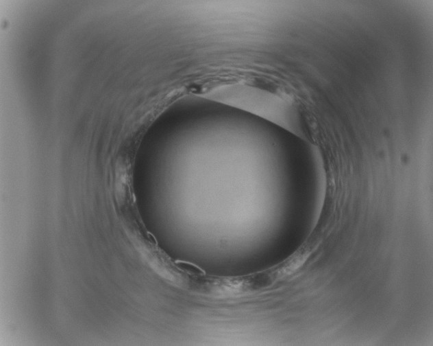 X0000053090235200508012041