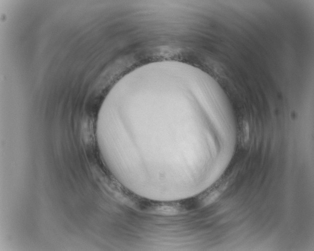 X0000053090236200508012041