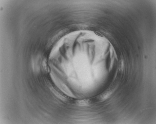 X0000053090238200508012041