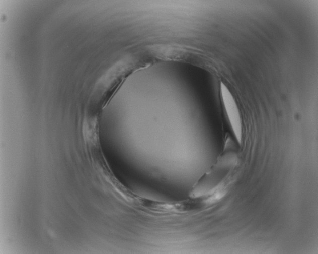 X0000053090239200508012040