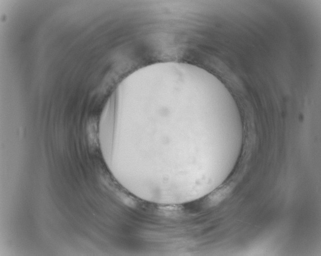 X0000053090240200508012040