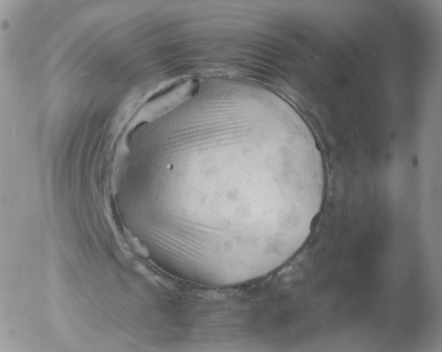 X0000053090241200508012040