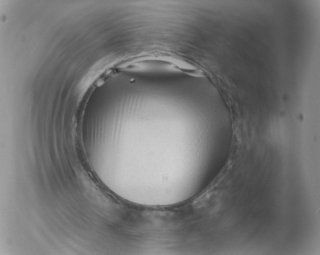 X0000053090242200508012040