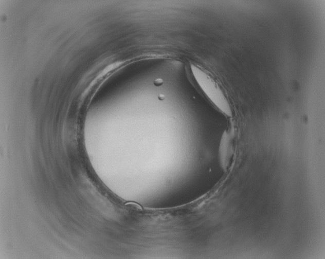 X0000053090243200508012040