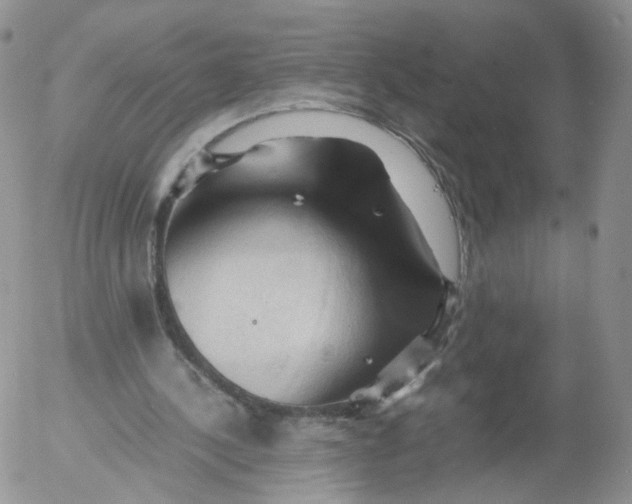 X0000053090244200508012040