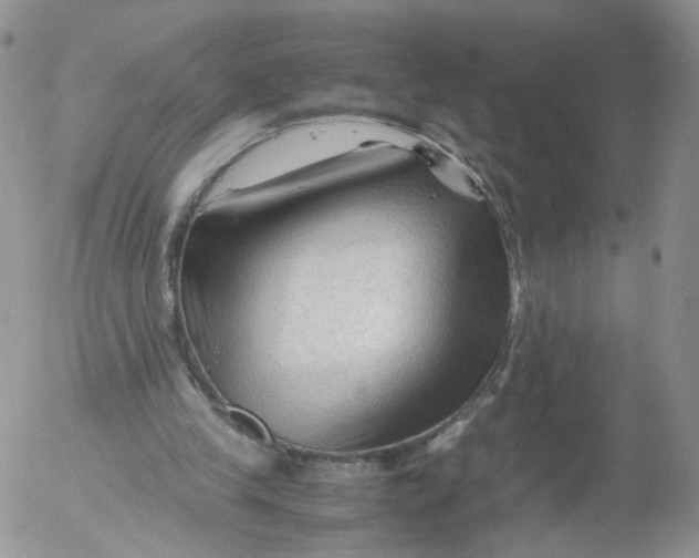 X0000053090245200508012040