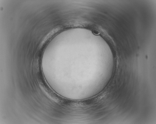 X0000053090250200508012040