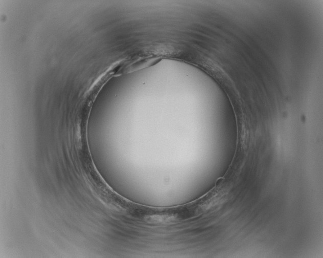 X0000053090251200508012040