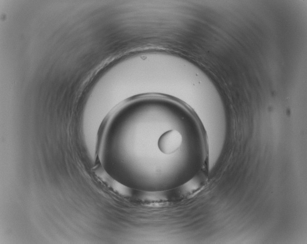 X0000053090252200508012040