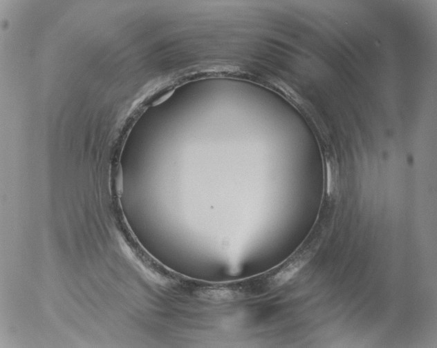 X0000053090253200508012040