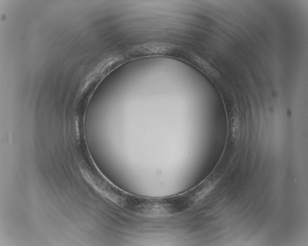 X0000053090254200508012040