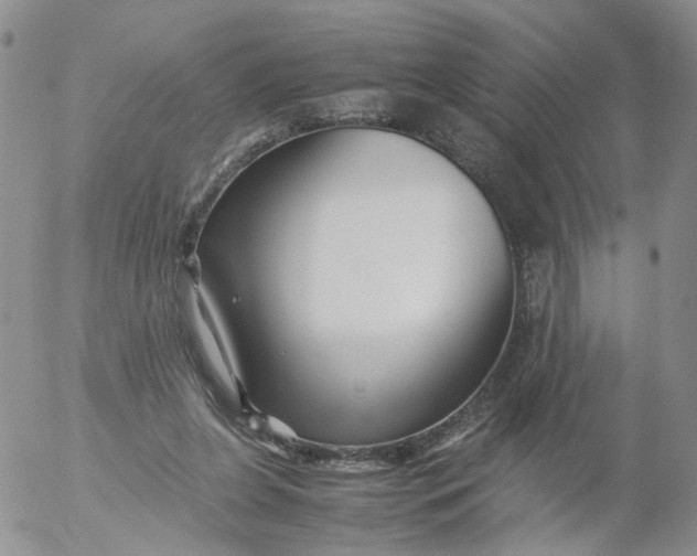 X0000053090255200508012040