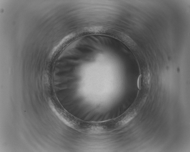 X0000053090256200508012040