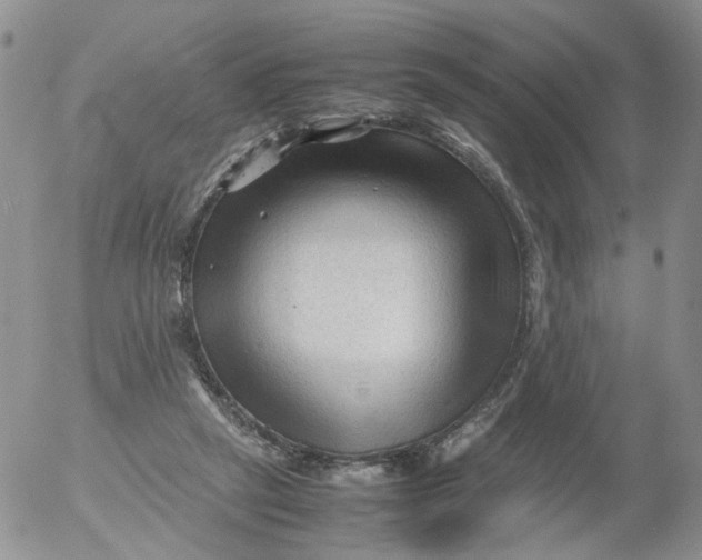 X0000053090257200508012040