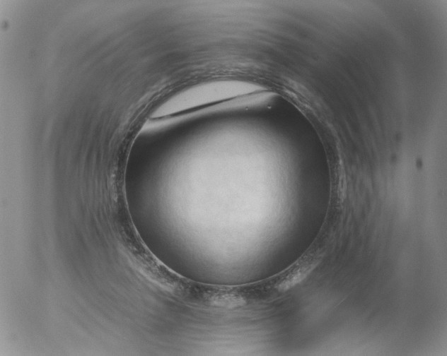 X0000053090258200508012040