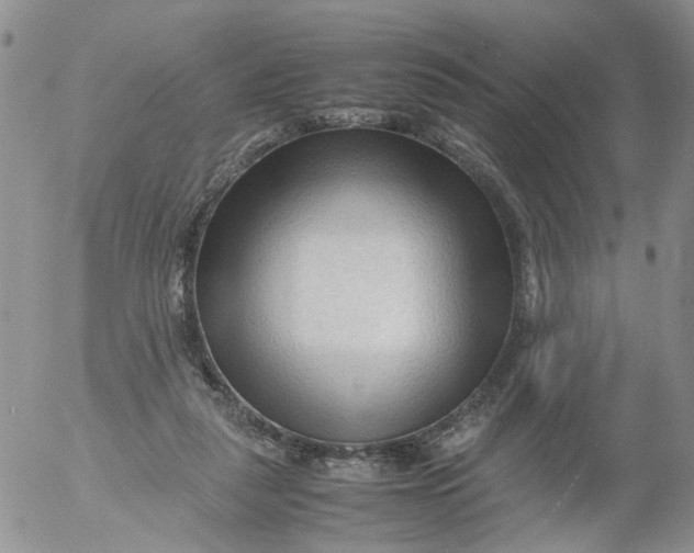 X0000053090259200508012040