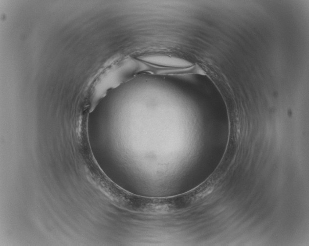 X0000053090260200508012040