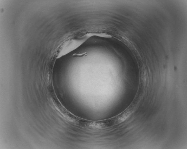 X0000053090261200508012040