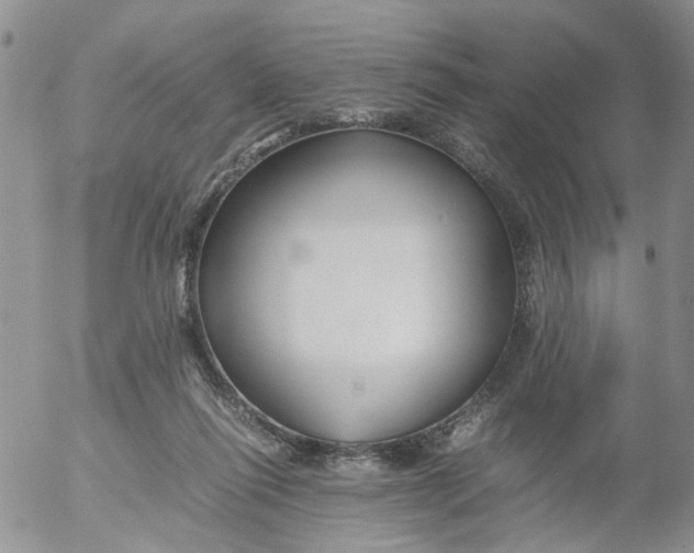 X0000053090262200508012040