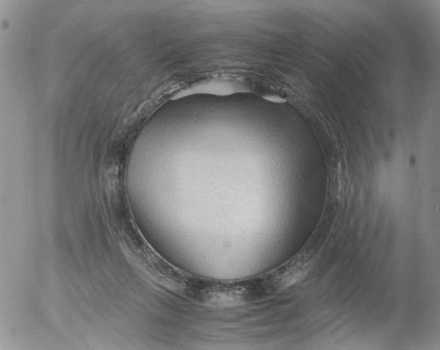 X0000053090263200508012040