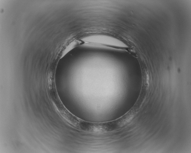 X0000053090264200508012040