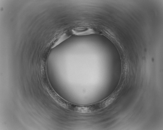 X0000053090265200508012040