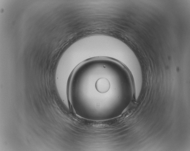 X0000053090268200508012040