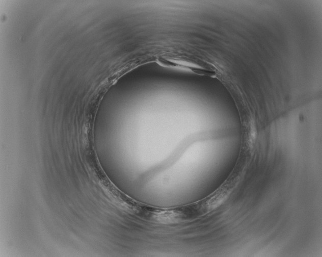 X0000053090269200508012040