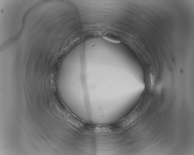 X0000053090270200508012040