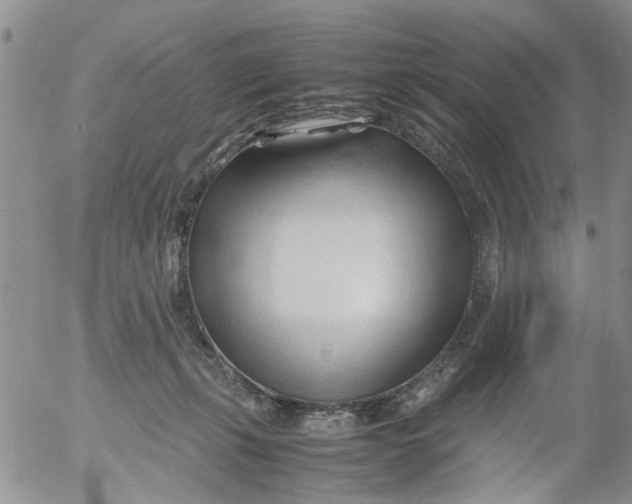 X0000053090271200508012040