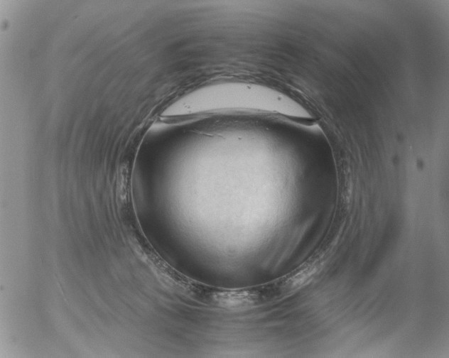 X0000053090273200508012040