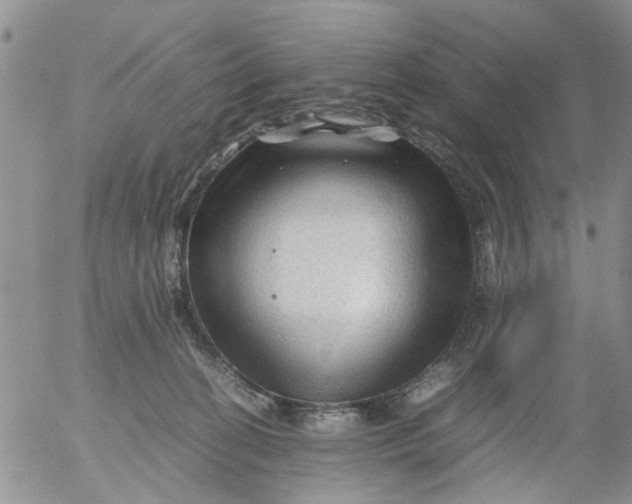 X0000053090274200508012040