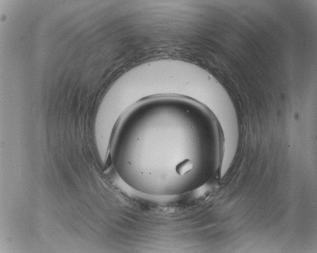 X0000053090276200508012040