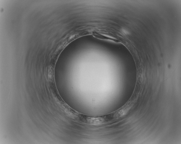 X0000053090277200508012040