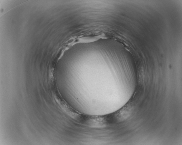 X0000053090278200508012040