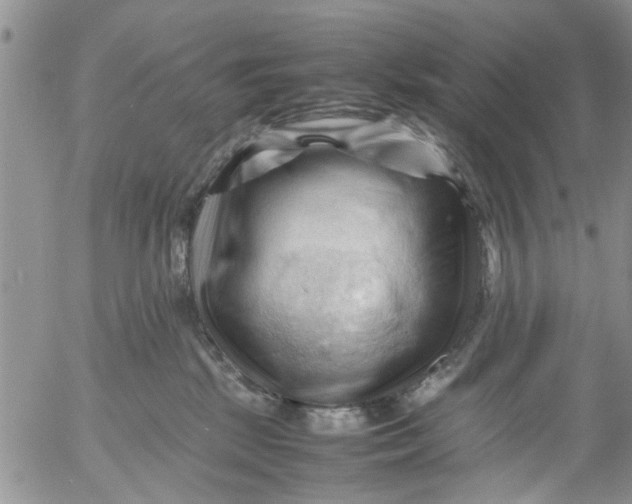 X0000053090281200508012040