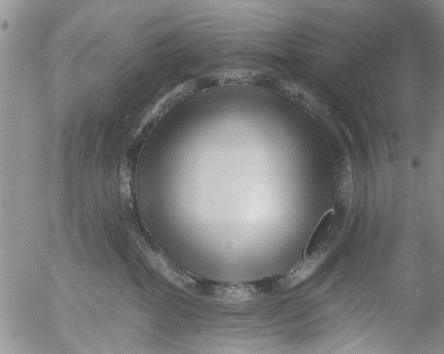 X0000053090282200508012040