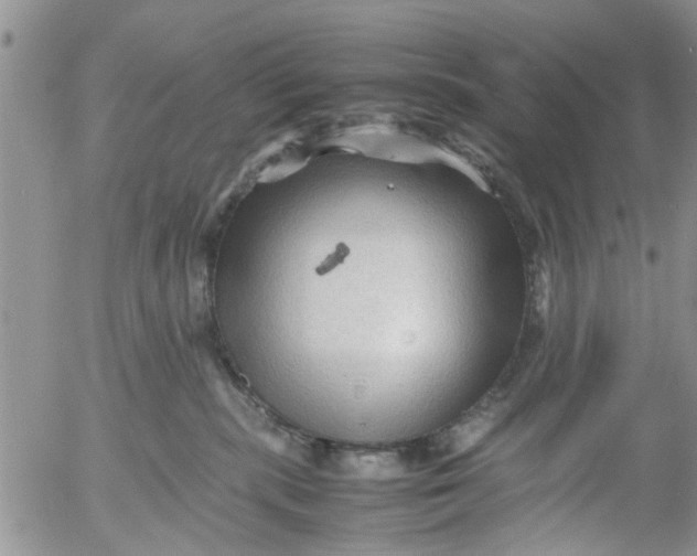 X0000053090283200508012040