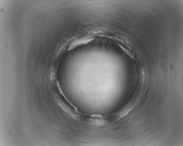 X0000053090284200508012040