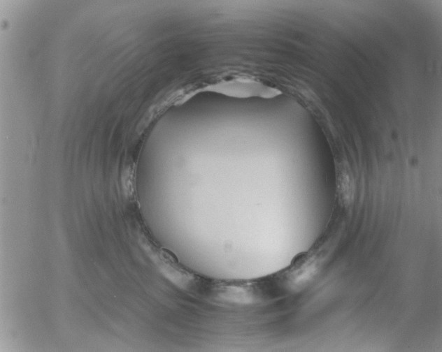 X0000053090285200508012040