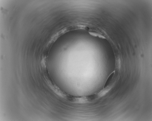 X0000053090286200508012040