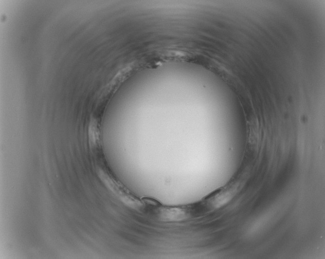 X0000053090287200508012040