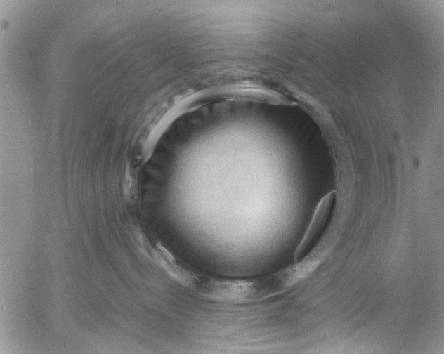 X0000053090288200508012040