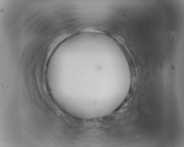 X0000053090289200508012040