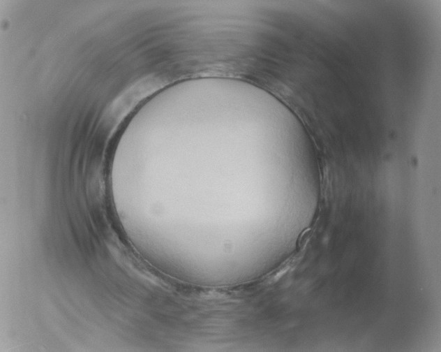 X0000053090290200508012040