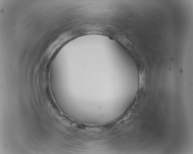 X0000053090291200508012040