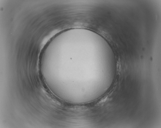 X0000053090292200508012040