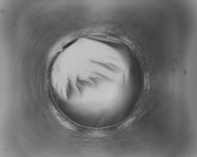 X0000053090293200508012040