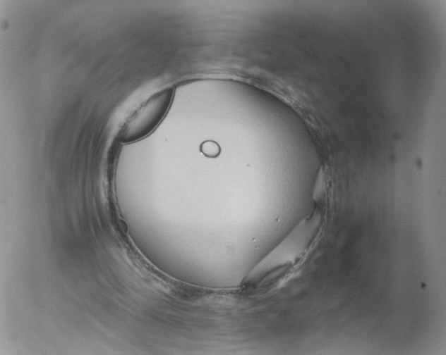 X0000053090294200508012040