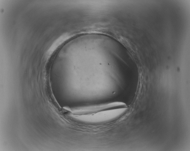 X0000053090295200508012040